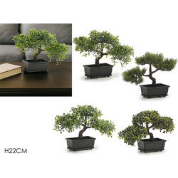 Γλάστρα βάζο 22cm 665095