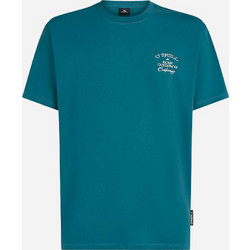 O'Neill Ανδρικό T-shirt Beach Πράσινο