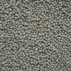 Royal Vogelfutter Perilla 5kg