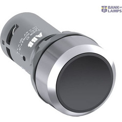 CP1-30B-11 Pushbutton