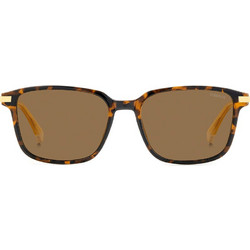 Polaroid Eyewear PLD4169GSX 086SP Ανδρικά Γυαλιά Ηλίου Τετράγωνα Ταρταρούγα με Καφέ Polarized Φακό