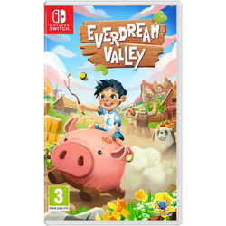 Everdream Valley Nintendo Switch