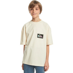 Quiksilver Παιδικό T-Shirt Κοντομάνικο Εκρού EQBZT04706-WDW0