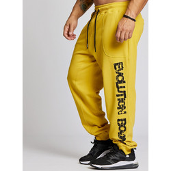 Evolution Body Ανδρικό Παντελόνι Φόρμας με Λάστιχο Κίτρινο 2615 Yellow
