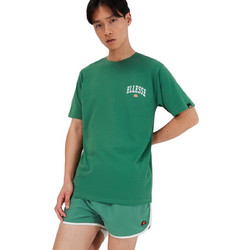 Ellesse Ανδρικό Αθλητικό T-Shirt Πράσινο SHV20245-503