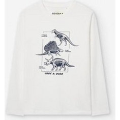 Losan Παιδικό T-Shirt Μακρυμάνικο Λευκό LKBAP030324094