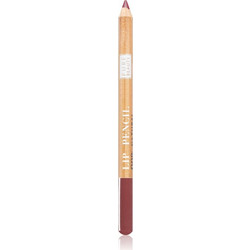 Astra Make-up Pure Beauty 06 Cherry Tree Lip Liner 1.1gr