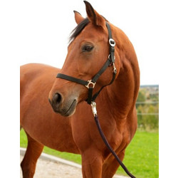 Kerbl Halter Hippo Καπίστρι Αλόγου 3222127