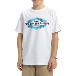 Quiksilver Παιδικό T-Shirt Κοντομάνικο Λευκό EQBZT04849-WBB0