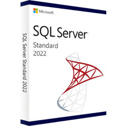 Microsoft SQL Server Standard 1 Core 2022 Πολύγλωσσο Συμβατό με Windows για 1 Χρήστη (Ηλεκτρονική Άδεια)