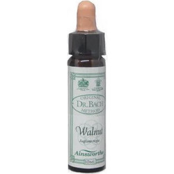 Ainsworths Dr.Bach Walnut Ανθοΐαμα σε Σταγόνες για Αυτοπεποίθηση 10ml