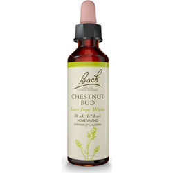 Power Health Bach Chestnut Bud Ανθοΐαμα σε Σταγόνες για Πνευματική Διαύγεια 20ml