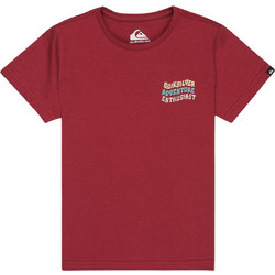 Quiksilver Παιδικό T-Shirt Κοντομάνικο Μπορντό EQKZT03578-RQZ0
