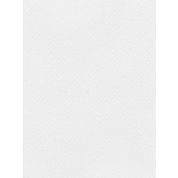 Favini Χαρτόνι Κανσόν Λευκό 50x70cm 831.5070.03T