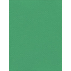 Favini Χαρτόνι Κανσόν Πράσινο 70x100cm 831.70100.16T