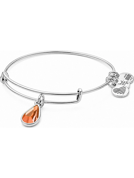 Alex and Ani Γυναικείο Βραχιόλι Βέργα Ασημί A17EB50RS