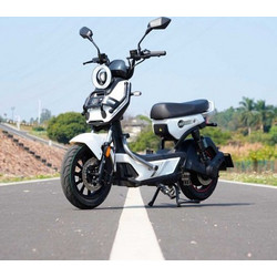TAILG X51 Graphene 25km/h