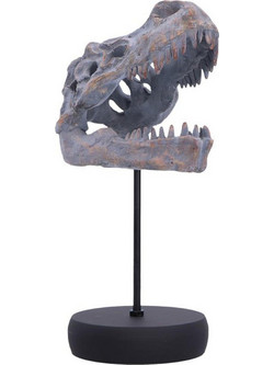 Nemesis Now Tyrannosaurus Rex Skull on Plinth 24cm