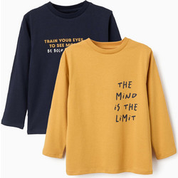 Zippy Παιδικό T-Shirt Μακρυμάνικο Κίτρινο Navy Μπλε 31081204042