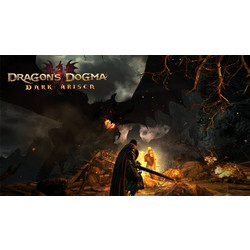 Dragon's Dogma Dark Arisen Key PC