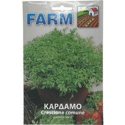 ΚΑΡΔΑΜΟ