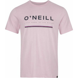 O'neill Arrowhead (N2850009-14011)