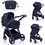Lorelli Adria Καρότσι Μωρού 2 σε 1 Premium Black