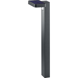 Trio Lighting Esquel R42261142