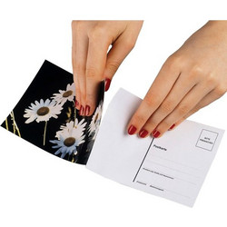 1x10 Hama Postcard label 10x15 7950