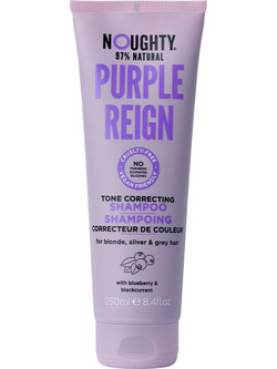 Noughty Purple Reign Tone Correcting Σαμπουάν κατά της Τριχόπτωσης 300ml