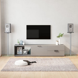 vidaXL 51815 Βάσεις Ηχείων Δαπέδου Silver (Ζεύγος)