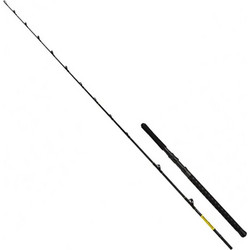 Shimano Beastmaster BX Slim 20-30lbs Καλάμι Ψαρέματος για Μολύβι Φύλακας / Συρτή Carbon Τρίσπαστο 2.29m