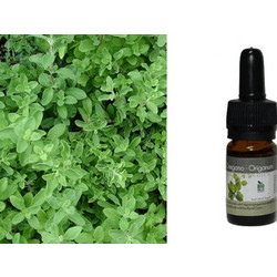 Bioaroma Essential Oil Ρίγανη 5ml
