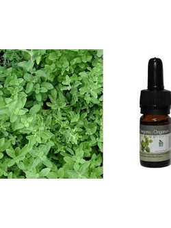Bioaroma Essential Oil Ρίγανη 5ml
