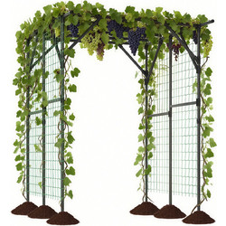 Costway Κιγκλίδωμα Αναρρίχησης για Κήπο 200 x 150 x 197 cm GT4463DK