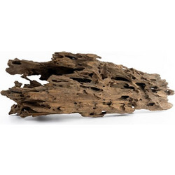 Oasis Dragon Wood per piece
