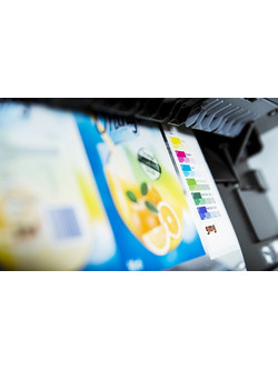 GMG PROOFING SOFTWARE SE (GMGCPROFSE)