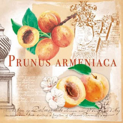 ΧΑΡΤΟΠΕΤΣΕΤΑ PRUNUS 33X33 - ΣΥΣΚΕΥΑΣΙΑ 20τμχ