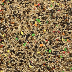 Pesk Canarini Μείγμα Καναρινιών με Μπισκότο 1kg Χύμα