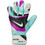 Nike Match HO23 Γάντια Τερματοφύλακα Πολύχρωμα FJ4862-010