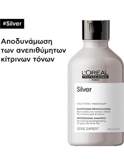 L'Oreal Professionnel Serie Expert Silver Σαμπουάν για Προστασία Χρώματος & Επανόρθωση 300ml