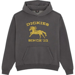 Dickies Owyhee Ανδρικό Φούτερ με Κουκούλα Μαύρο DK0A8CHYBLK1