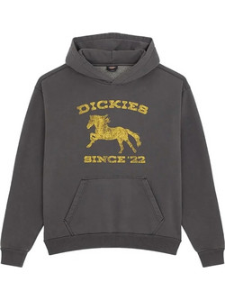 Dickies Owyhee Ανδρικό Φούτερ με Κουκούλα Μαύρο DK0A8CHYBLK1