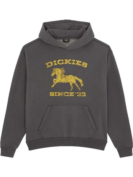 Dickies Owyhee Ανδρικό Φούτερ με Κουκούλα Μαύρο DK0A8CHYBLK1