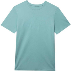 4F Ανδρικό Αθλητικό T-Shirt Βεραμάν 4FWSS24TTSHM1155-47S