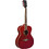 Eko Guitars NXT A100 See Through Red