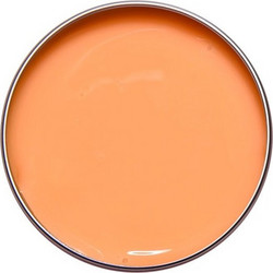Alezori A&G Hybrid Spectrum Clementine Acrygel 17gr