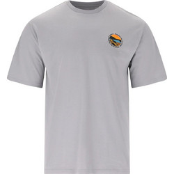 Whistler Ανδρικό Αθλητικό T-Shirt Γκρι W261247-4098