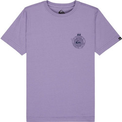 Quiksilver Παιδικό T-Shirt Κοντομάνικο Λιλά EQBZT04965-PKS0