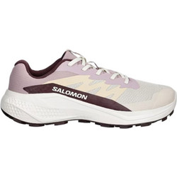 Salomon Alphaglide Γυναικεία Αθλητικά Παπούτσια Trail Running Ροζ L490928
